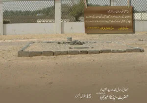 ان کے آگے وہ ”حمزہ“ کی جاں بازیاں : انصار احمد مصباحی، اورنگ آباد