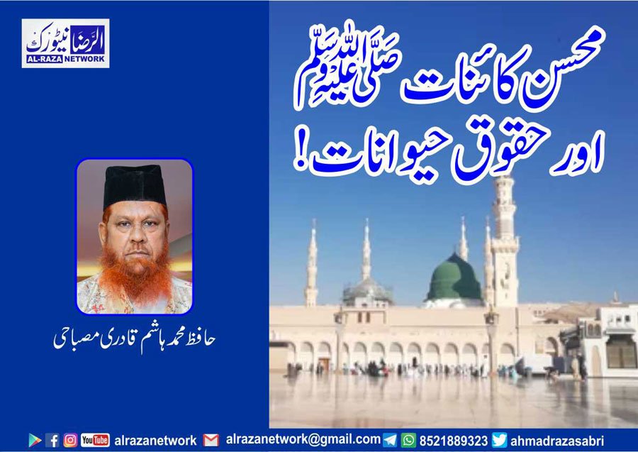 محسن انسانیت