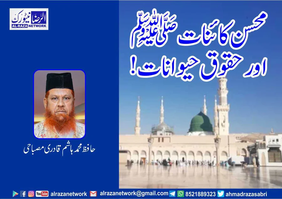 محسن انسانیت