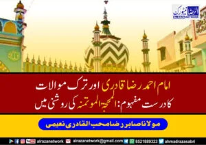 امام احمد رضاقادری اور ترک موالات کا درست مفہوم : المحجۃ الموتمنہ کی روشنی میں