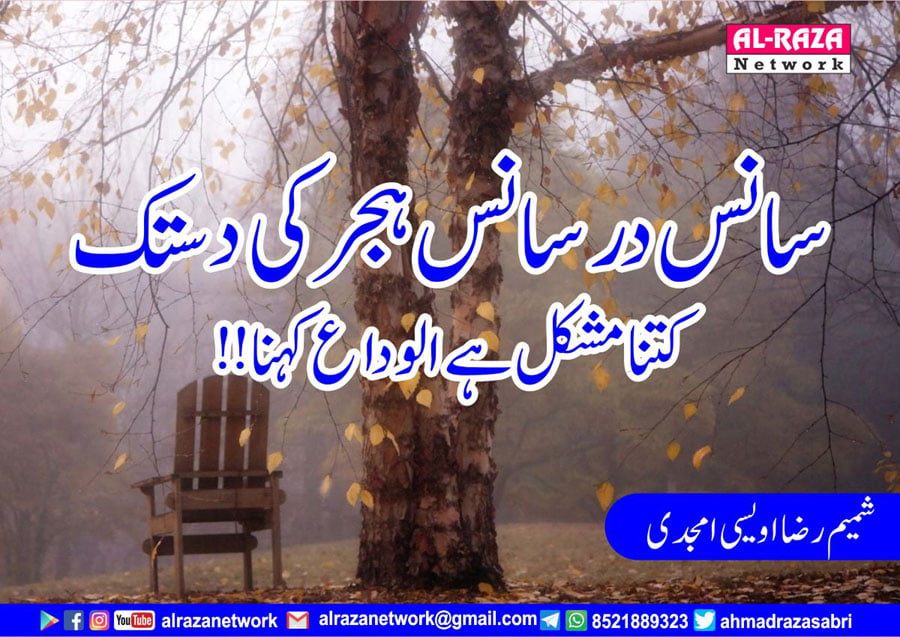 مفتی آل مصطفےٰ