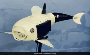 تھری ڈی روبوٹ مچھلی ‘گلبرٹ’ آبی گزرگاہوں سے مائیکرو پلاسٹک کھاتی ہے، طالب علم نے ڈیزائن کیا ہے